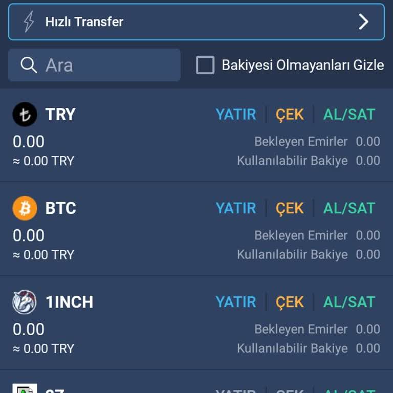 Bitexen Hesabımda Coin Bakiyeleri Sıfırlandı Ve İşlem Kayıtları Silindi