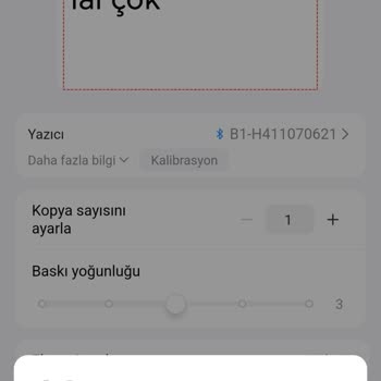 Garanti Servisi Sonrası Çözülmeyen Yazıcı Arızası Ve İade Talebi