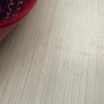 Duru Halı Yıkama’da Kirli Ve Boyalı Halılar, Müşteri Zararı