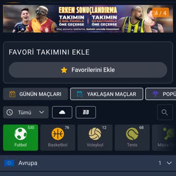 Rinabet 594.821 TL Bakiyeme El Koydu, Vıp Üyelik Vaadiyle Oyuna Teşvik Edip Kazancımı Ödemedi