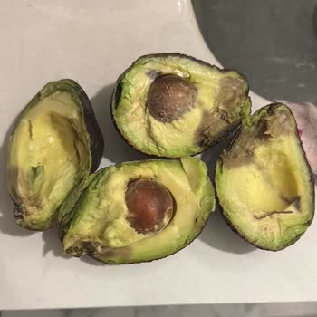 Avokado Siparişinde Bozulmuş Ürün Ve İade Talebi