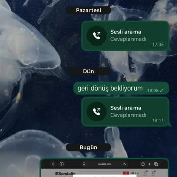 Sandalie Siparişinde Gecikme Ve İletişimsizlik: Kredi Kartı İptali Ve Ücret İadesi Talebi