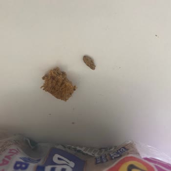 UNO Denge Ekmeğinde Sert Yabancı Cisim Ve Özür Talebi