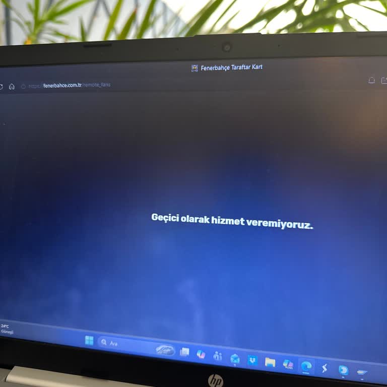 Fenerbahçe Taraftar Kartı Numarası Erişim Problemi Ve Telefon Desteği Sorunu