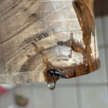 Çatlak Ve Deforme Bardaklar İçin İade Talebi Ve Kargo Ücretinin Geri Ödenmesi