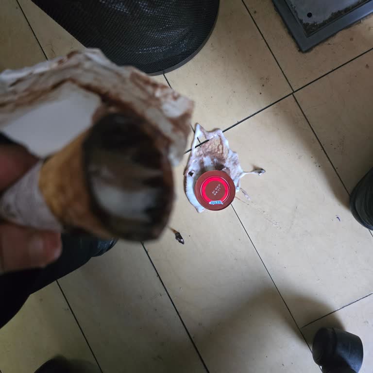 Migros Yemek Yanlış Ürün Gönderimi ve Erimiş Dondurma Nedeniyle İade Talebi