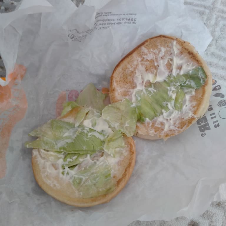 King Chicken Burgerimde Tavuk Yok, Ücret İadesi Talebi