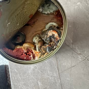 Tamek Teneke Salçasının Bozulması Ve Sağlık Tehlikesi