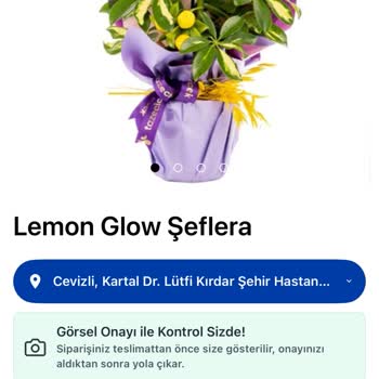 Ürün Görselleri İle Gerçek Çiçekler Arasındaki Uyuşmazlık