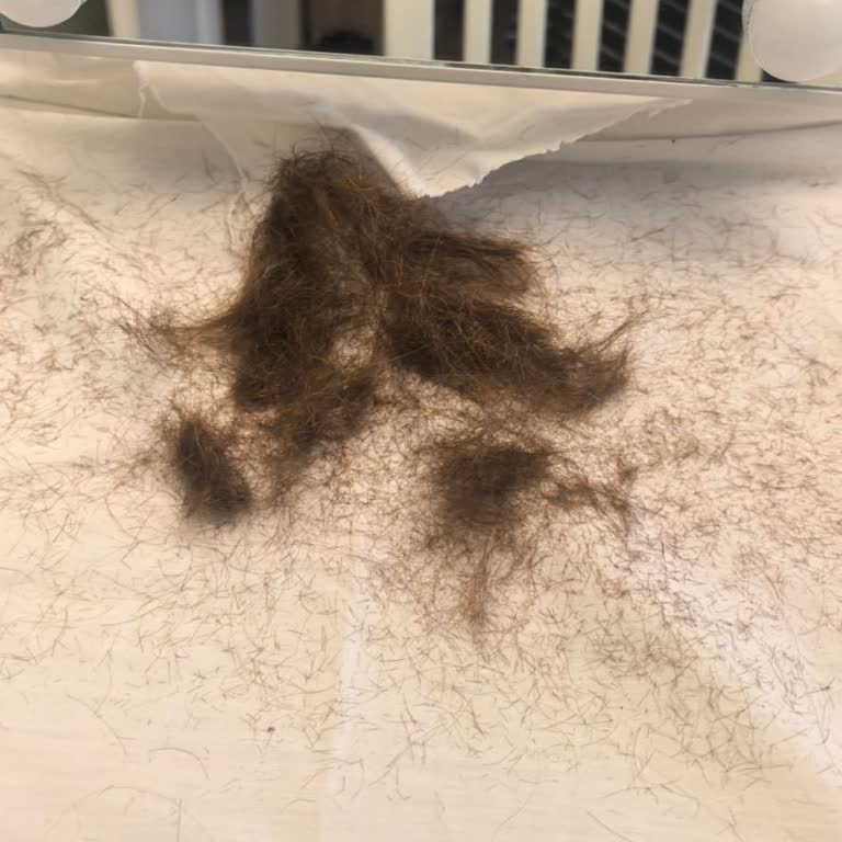 Reset Hair Salon Dip Boyası ve Hand Brush Ürünlerinin Saç Derimi Yakması ve Zarar Görmesi