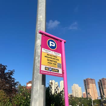 Ücretsiz Otopark Aldatması: 250 TL Vale Ücreti