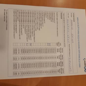 35.000 TL Bireysel Emeklilik Geri Ödemesinde Bir Aylık Gecikme Ve Açıklama Eksikliği