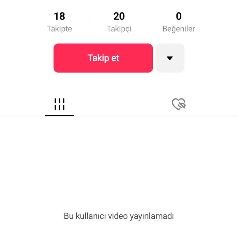 TikTok’ta Tehdit Ve Baskı Yapan Kullanıcıların Hesaplarının Kapatılması Talebi