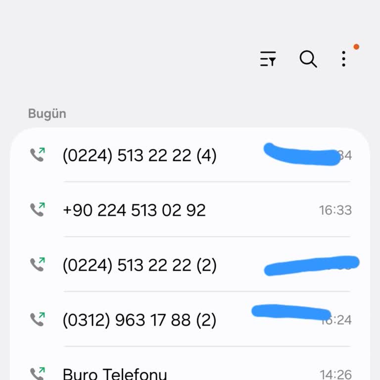 Teslim Edilmedi Ve Yanıltıcı Beyan Girişi