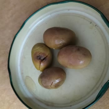 Tukaş Kırma Zeytinlerde Çürüklük Ve Kalite Kontrol İhlali