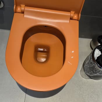 Klozet Kapağındaki Boya Çabuk Dökülüyor, Garanti Kapsamında Değişim Talebi