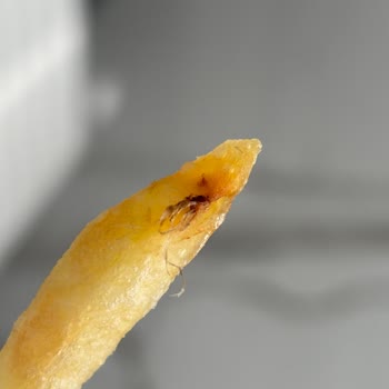 Eki aç