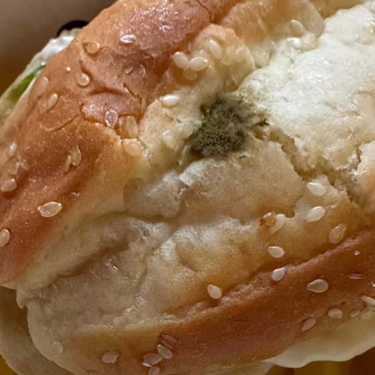 Küflü Burger King Siparişinde Sağlık Riski Ve Güven Kırılması