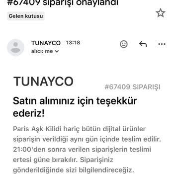 Aynı Gün Teslimat Sözü Verilen Dijital Animasyon Siparişinde İletişim Sorunu Ve İade Talebi