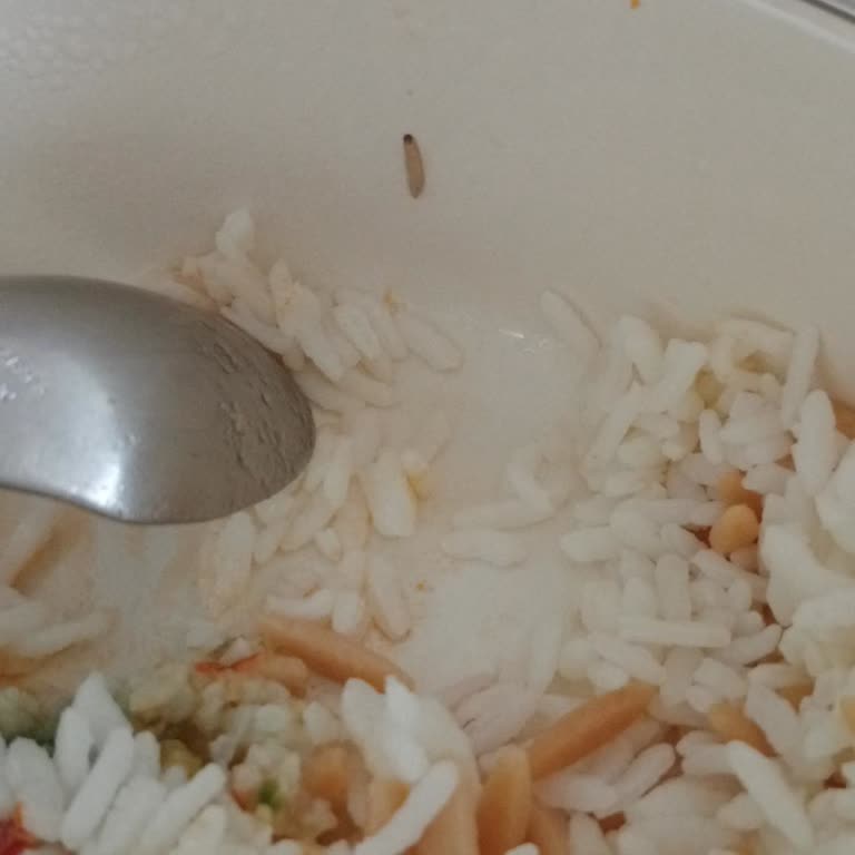 Marmaris Migros Pirinç Ve Şehriyede Kurtlu Kontaminasyon