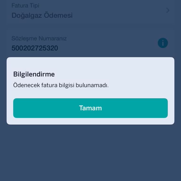 İGDAŞ Faturamı Ödeyemiyorum Sistem Borç Bulunamadı Hatası