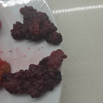 Dondurulmuş Pakette Kurtçuklar Bulundu