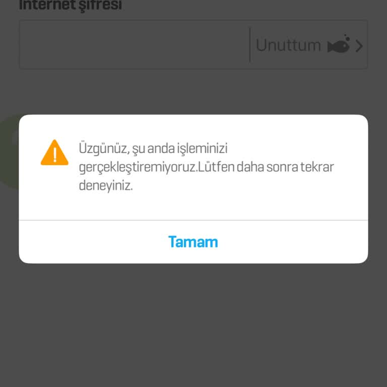 Enpara Mobil Uygulamasında Sürekli Yükleniyor Ve Giriş Sağlanamıyor
