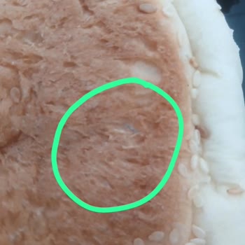 Kapalı Paket Hamburger Ekmeğinde Tel Parçası Bulundu