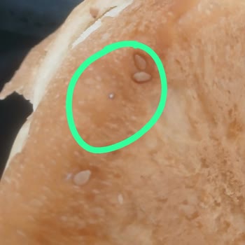 Kapalı Paket Hamburger Ekmeğinde Tel Parçası Bulundu