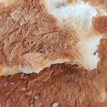 Kapalı Paket Hamburger Ekmeğinde Tel Parçası Bulundu