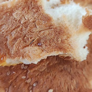 Kapalı Paket Hamburger Ekmeğinde Tel Parçası Bulundu