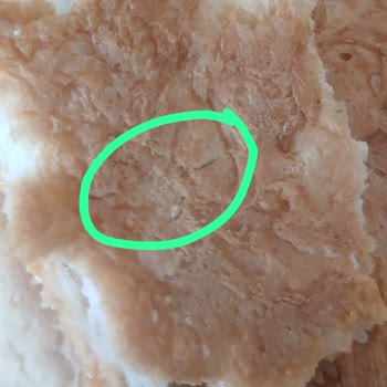 Kapalı Paket Hamburger Ekmeğinde Tel Parçası Bulundu
