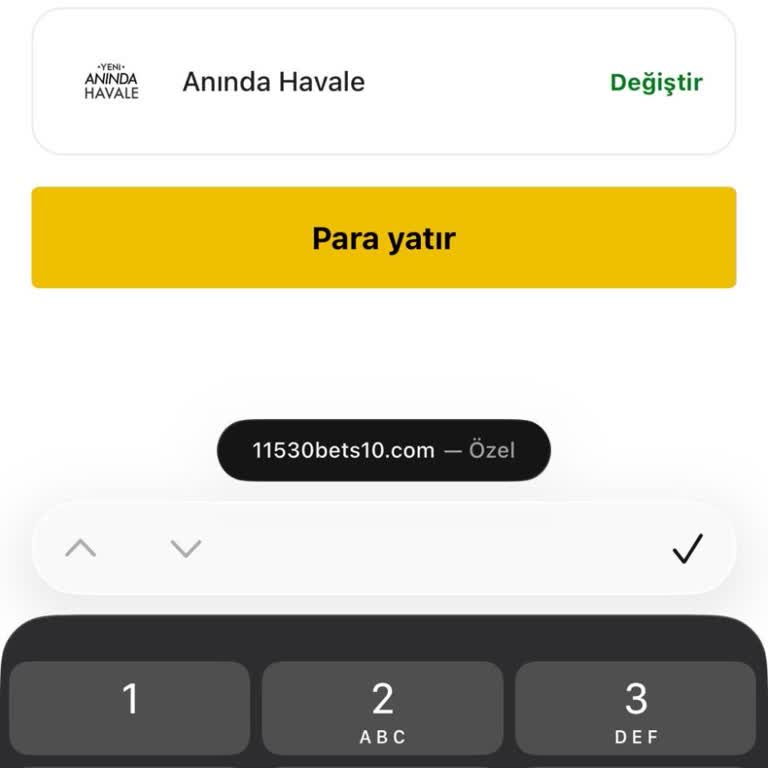 3.000 TL Yatırımım Hesaba Yansımıyor Ve İade Talep Ediyorum