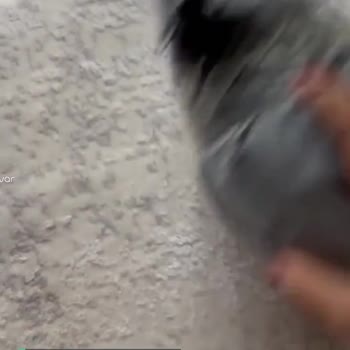 Dolap’ta Satıcı Olarak Mağdur Edildim
