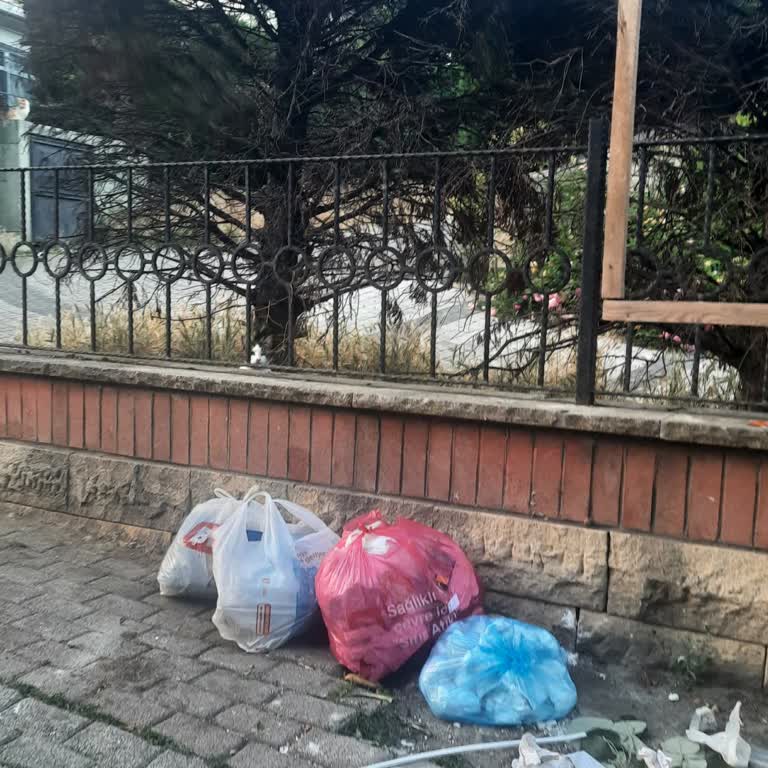 Sarıyer Mimar Sinan Parkı Girişindeki Çöp Yığınına Acil Çözüm Ve Çöp Kovası Talebi