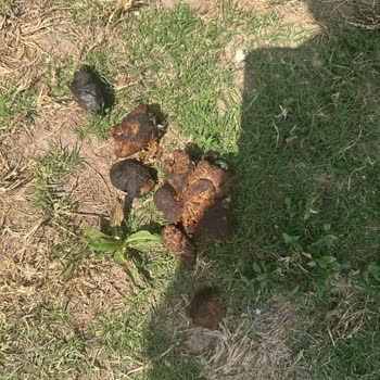 Yanıltıcı İlan Sonucu Kiracıda 44 Bin TL Maddi Zarar