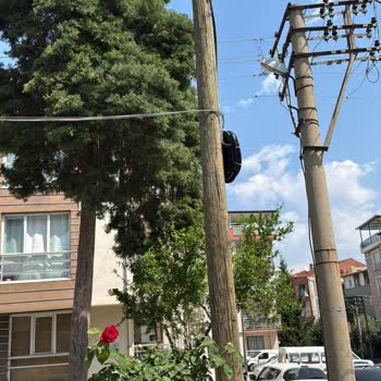 İzinsiz Kablo Kurulumu Ve Balkon Delinmesi Şikayetim
