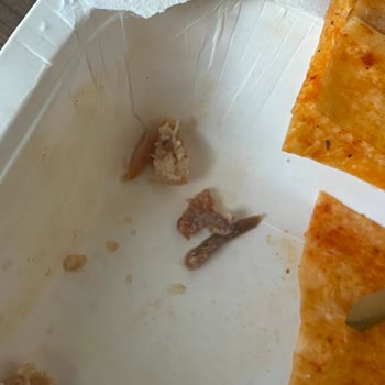Eqo Döner İçinden Kemik Parçası Çıktı