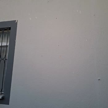 Marshall Boyada Kabarma Ve Dökülme!