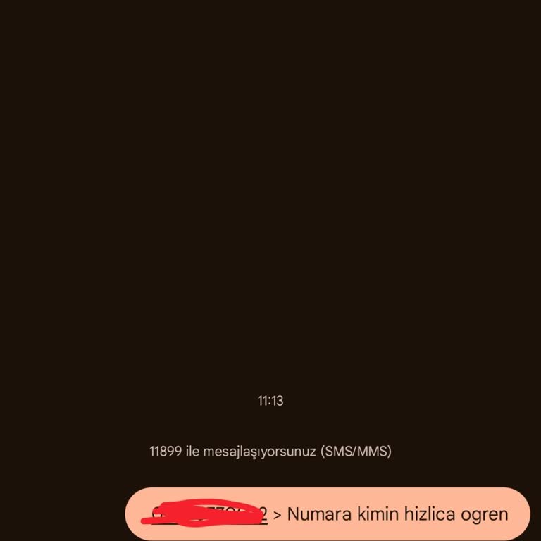 11899 Bilinmeyen Numaralar Şikayeti