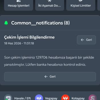 12.960 TL Çekimim Bankada Görünmüyor Ve Güvenim Sarsıldı