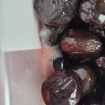 Cem Zeytin Ürününde Küflü Zeytin Tespiti Ve Değişim Talebi