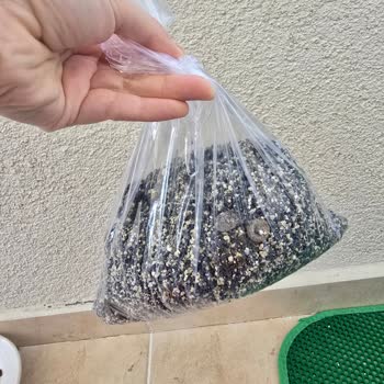 Lider Petfood Topaklanmayan Kedi Kumu Ve İletişimsizlik