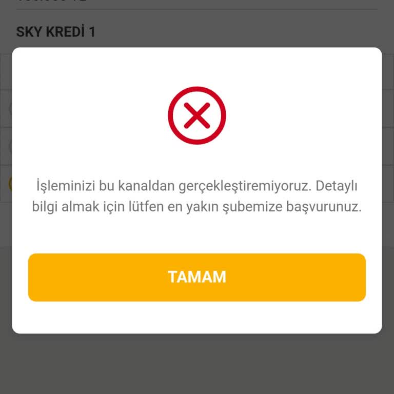 Mobil Bankacılıkta Sky Limitini Kullanamama Sorunu