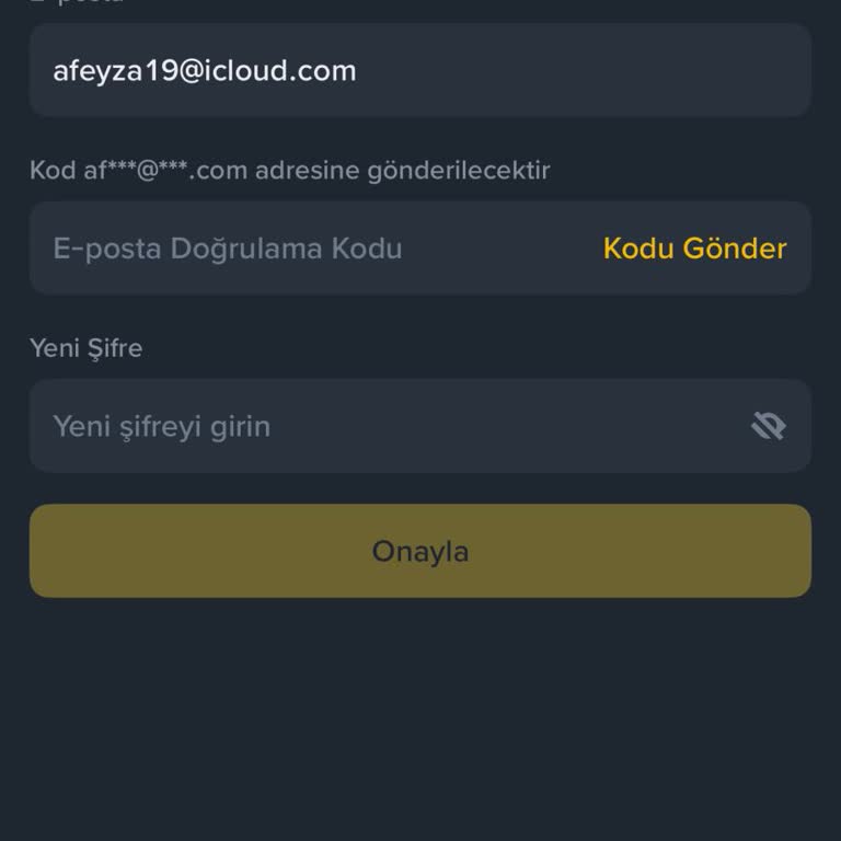 Binance Hesabına Erişememe Ve Manuel Kimlik Doğrulama Talebi