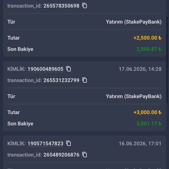 Betpuan3005.com'da 15 Bin TL Yatırım Sonrası Sürekli Kayıplar Ve Yetersiz Destek