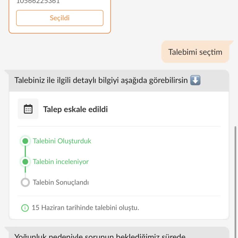 Kayıp Sipariş Nedeniyle Mağduriyet Ve Çözüm Talebi