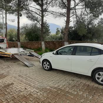 İkame Araç Sağlanmadığı Ve Uzun Süre Bekletilmesi