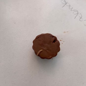Ülker Sütlü Çikolata Paketi İçinde Kurt Bulunması