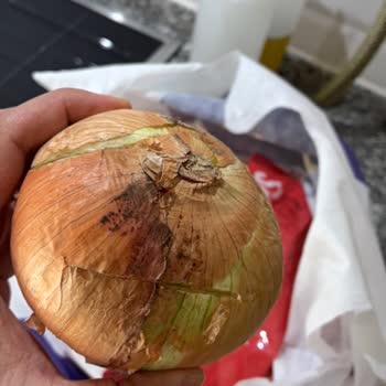 Mantarlaşmış Soğan Teslimatı Ve Cevapsız İade Süreci